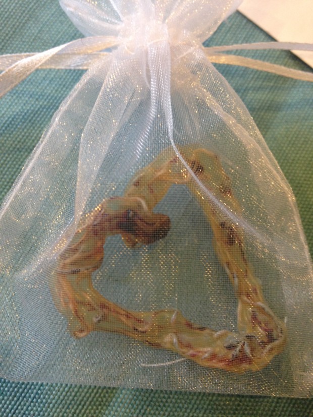 umbilical