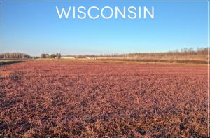 Screen Shot 2013-08-22 at 10.15.07 PM