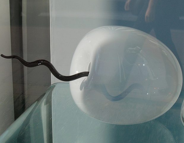 Jacek.NL Conception copy