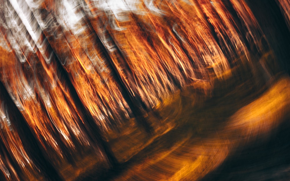 Abstract photo of swirling orange lights and dark-colored bars that look like tree trunks