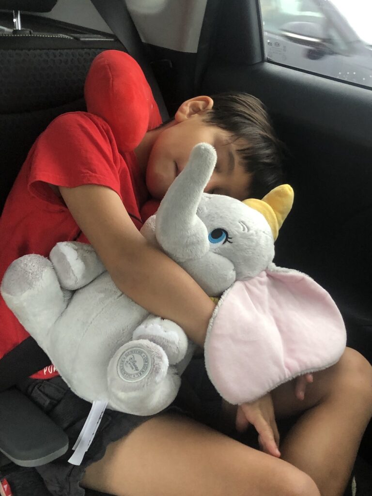Boy sleeping in a car, clutching a stuffed Dumbo elephant