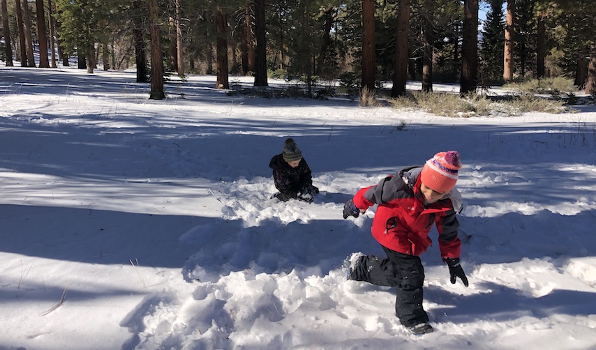Two 6-year-old boys play in the snow; pine trees in the background