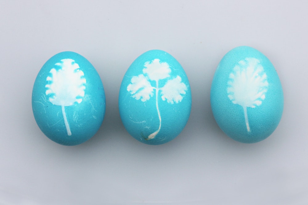 Three eggs dyed turquoise. Each has a silhouette of a white flower or plant.