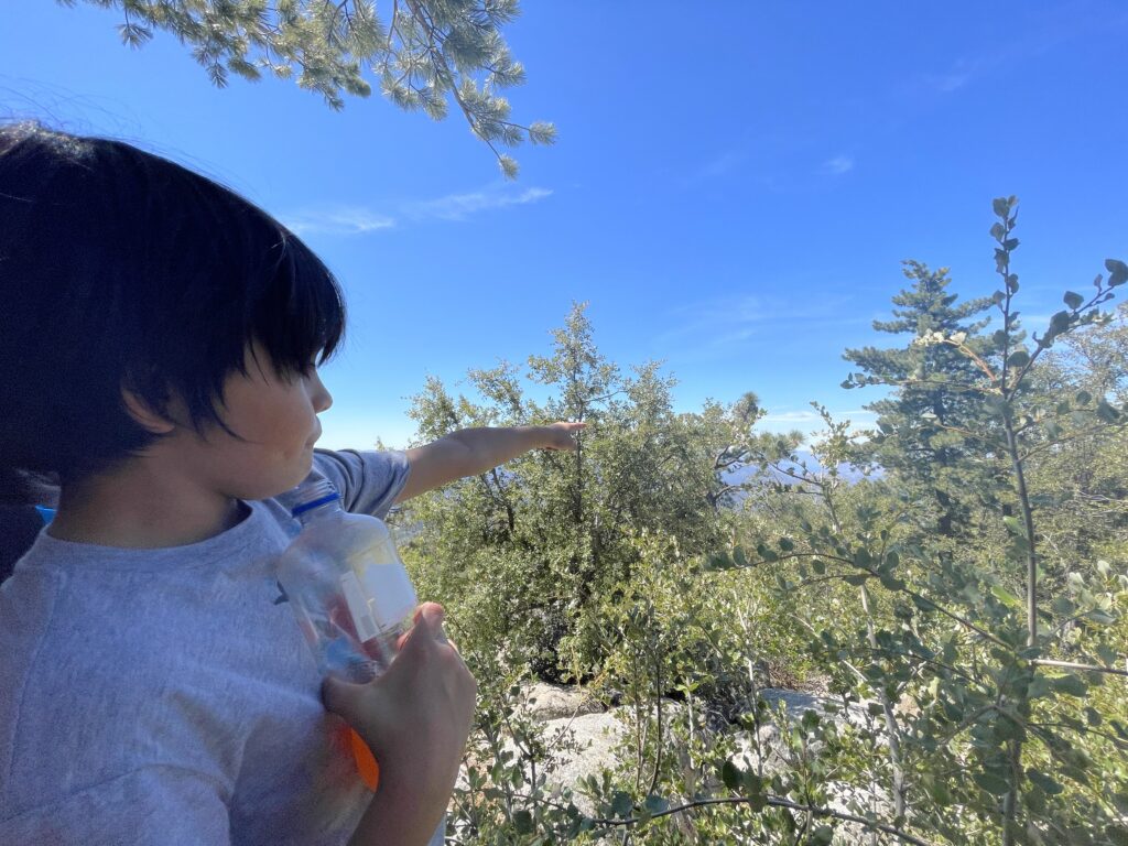A 7-year-old boy with shaggy dark brown hair and light brown skin points to a treed vista