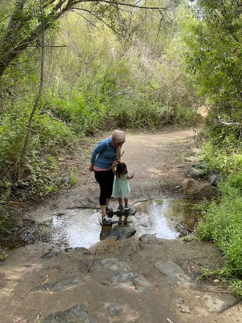 A mother holds her toddler daughter's hand as they cross a small creek together