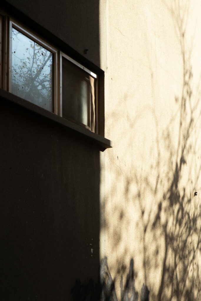 Shadow of a tree against an exterior wall