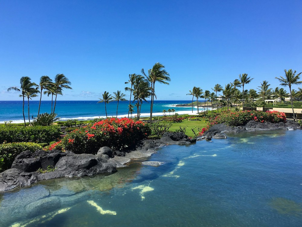 Beach in Kauai featuring windblown palm trees, red flowers, dark rocks, and blue water