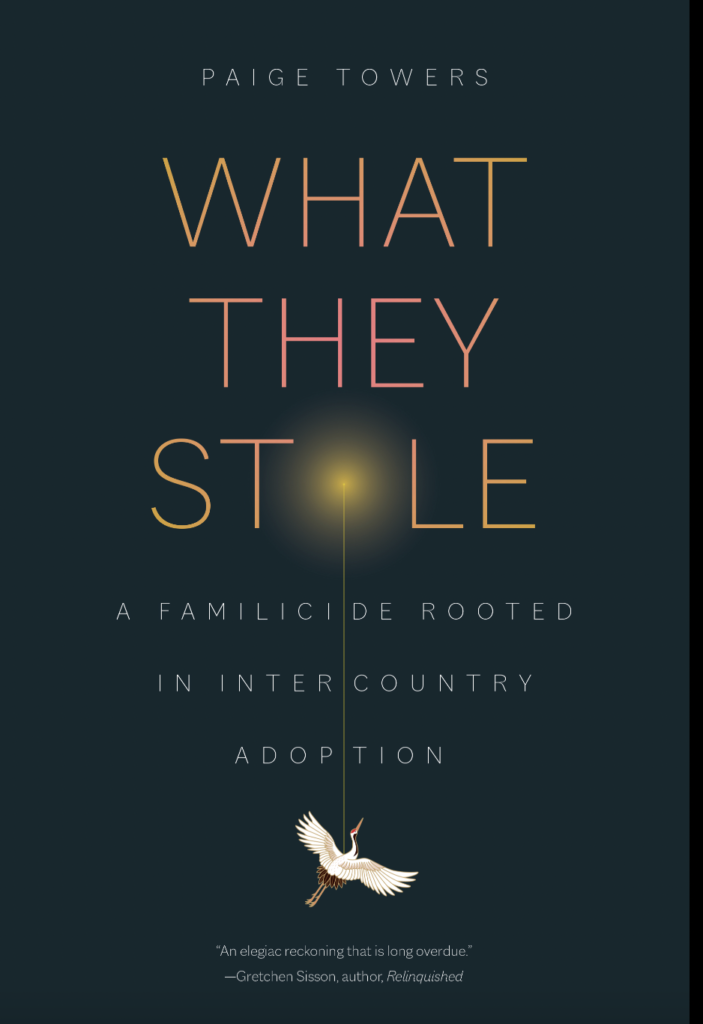 Book cover of What They Stole by Paige Towers