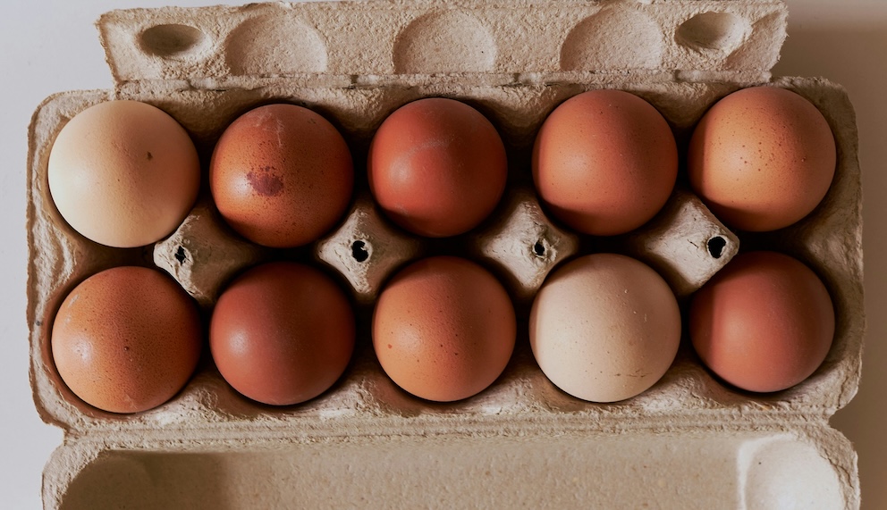 Different shades of brown eggs in a carton